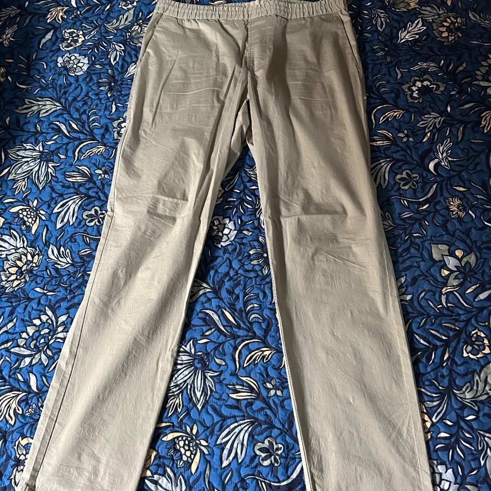 Everlane Cotton Pants w/ Internal Drawstring Light Sage Green/Grey L 32